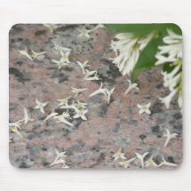 Privet Blossoms on Granite Mouse Pad