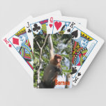 Proboscis Monkey in Borneo Rainforest playing cards