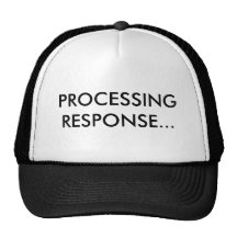 PROCESSING RESPONSE... MESH HATS