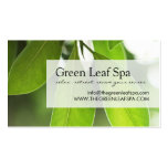 Professional Massage / Spa Business Card