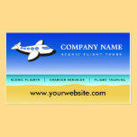 Professional Pilot Scenic Flights Business Cards business cards