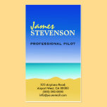 Professional Pilot Scenic Flights Business Cards business cards