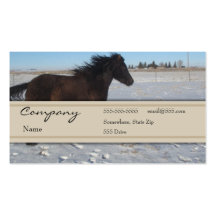 Profile Card - Horse Business Card