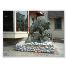 Profile of a Buffalo Sculpture in Buffalo New York Photo