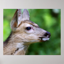 Profile of a Deer Print