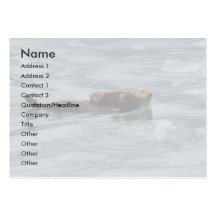 profile or business card, sea otter