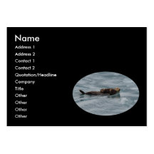profile or business card, sea otter