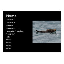 profile or business card, sea otter