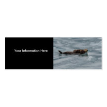 profile or business card, sea otter