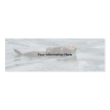 profile or business card, sea otter