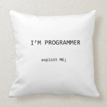 programmer exploit pillow