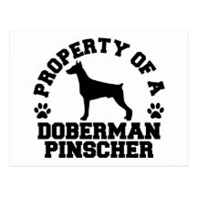 Property Doberman Pinscher Postcard