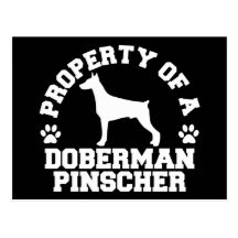 Property Doberman Pinscher Postcard