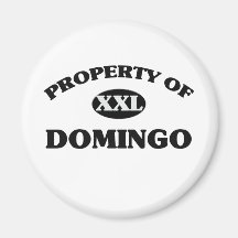 Property of DOMINGO Magnets