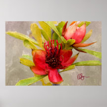 Protea Love Poster