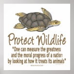 Protect Sea Turtles Poster