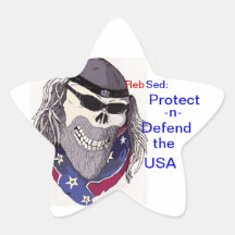 Protect USA Star Sticker