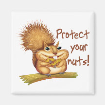 Protect Your Nuts Magnets
