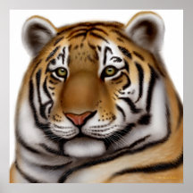 Proud Bengal Tiger Print