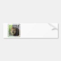 Proud Lion Bumper Sticker