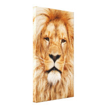 Proud Lion Portrait Stretched Canvas Print