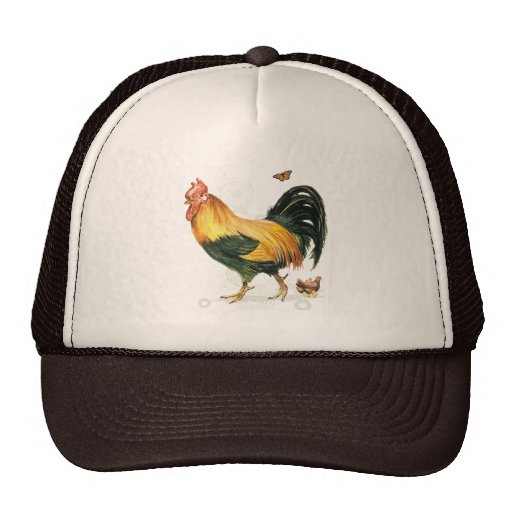 Proud Rooster with hen and chickens. Hats