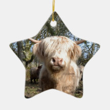 Proud to be Scottish Christmas Ornament