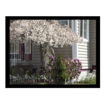 Providence, Rhode Island Post Cards