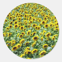 Provincial Sunflowers Round Stickers