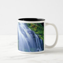 Proxy Falls in the central Oregon Cascades. Coffee Mugs