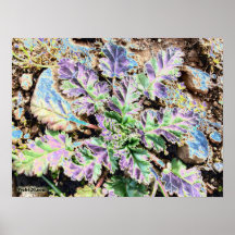 psychedelic plant print