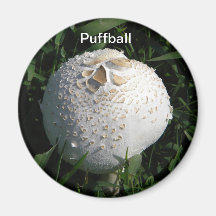 Puffball Fridge Magnets