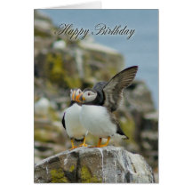 Puffin Birthday Greeting Card