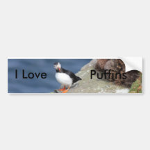 Puffin Bumper Sticker