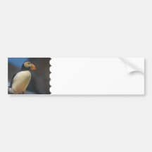 Puffin Bumper Sticker