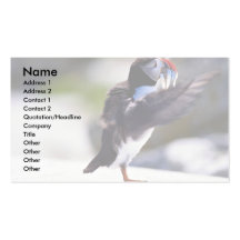 Puffin Business Cards
