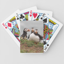 Puffin Group Card Deck