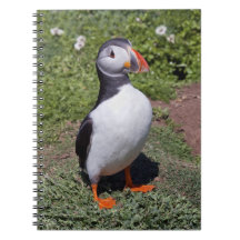 Puffin Notebook