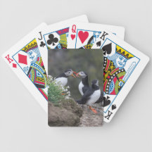 Puffin's Billing Card Decks