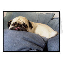 Pug Blues (Greeting Card)