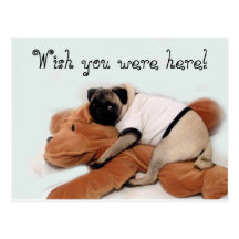 Pug Blues Post Card
