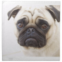 Pug Dog Set of Four Napkins