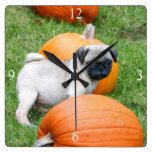 Pug dog square clock