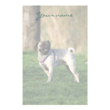 Pug in the park stationary custom stationery