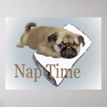 pug nap time Poster