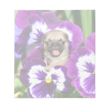 Pug puppy in pansies memo note pads