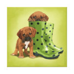 Puggle in boots gallery wrapped canvas
