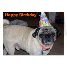 Puggy Greetings: Birthday Cards