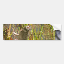 Pukeko and Chick in Reeds Bumper Sticker