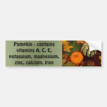 pumpkin bumper sticker
